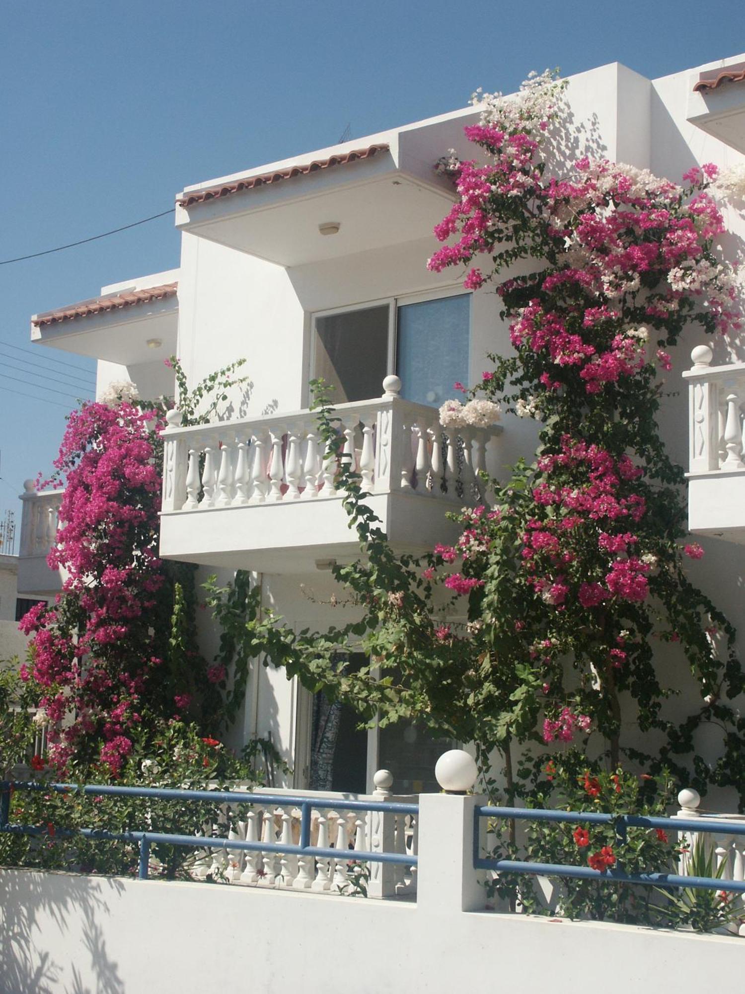 Castle View Apartments Haraki Exterior photo