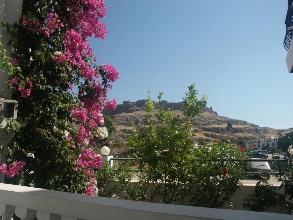 Castle View Apartments Haraki Room photo